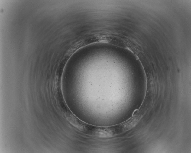 X0000064750275200602131234