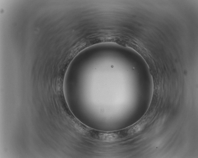 X0000064750277200602131234