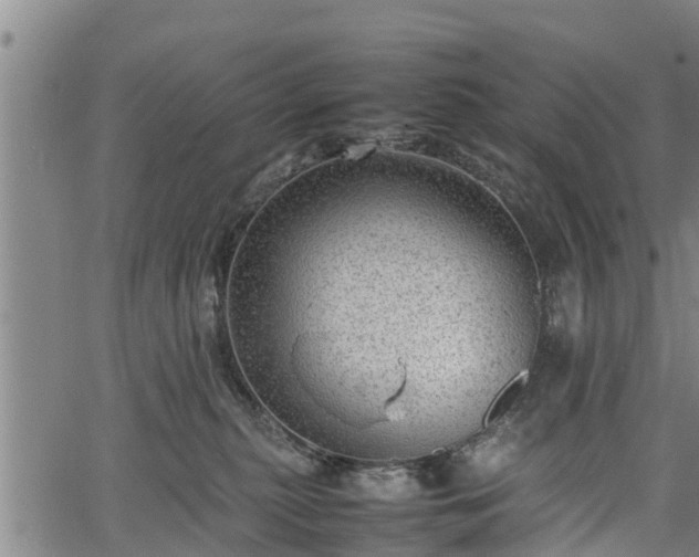 X0000064750279200602131234