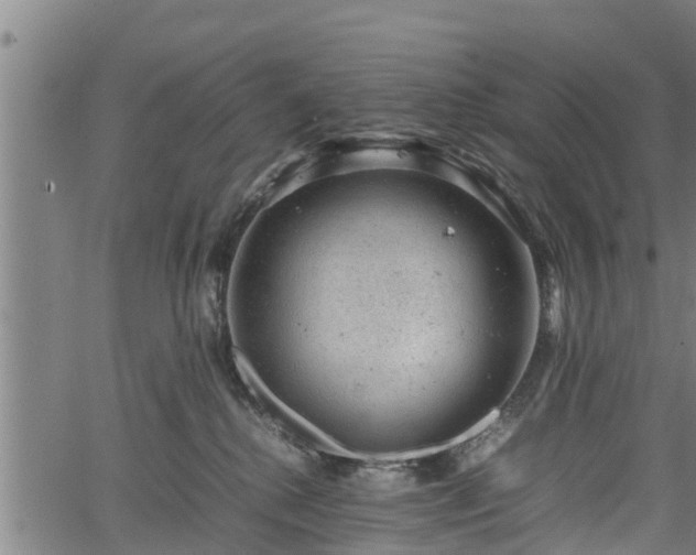 X0000064750280200602131234