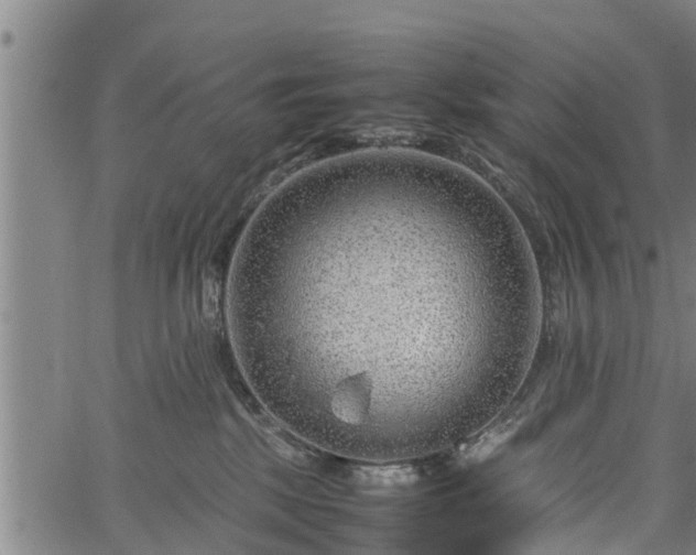 X0000064750281200602131234