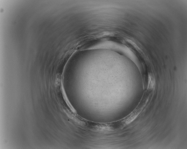 X0000064750284200602131234