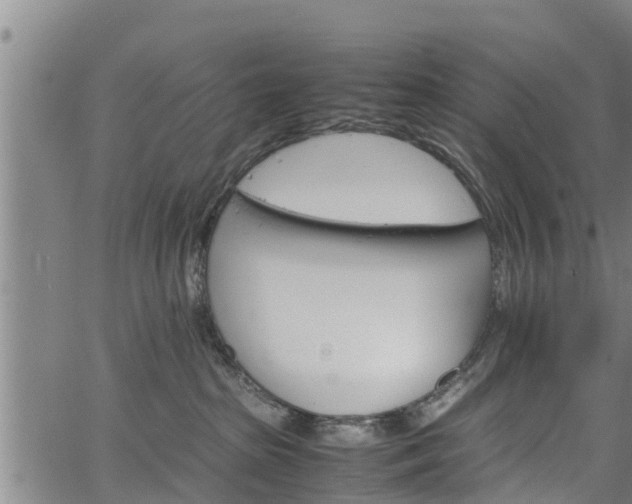 X0000064750285200602131234