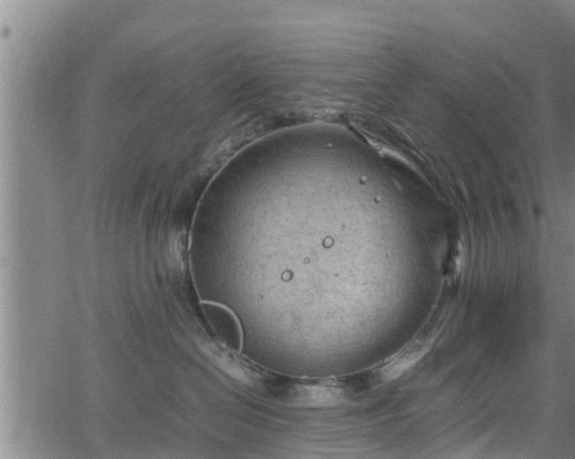 X0000064750286200602131234