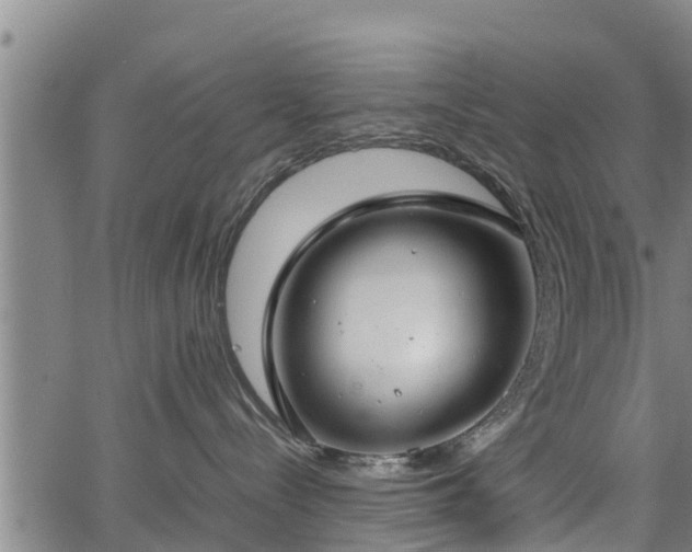 X0000064750288200602131234