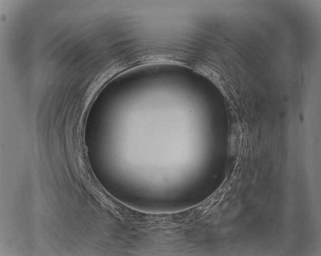 X0000064750289200602131233