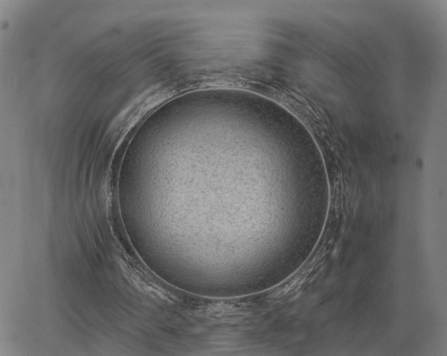 X0000064750290200602131233