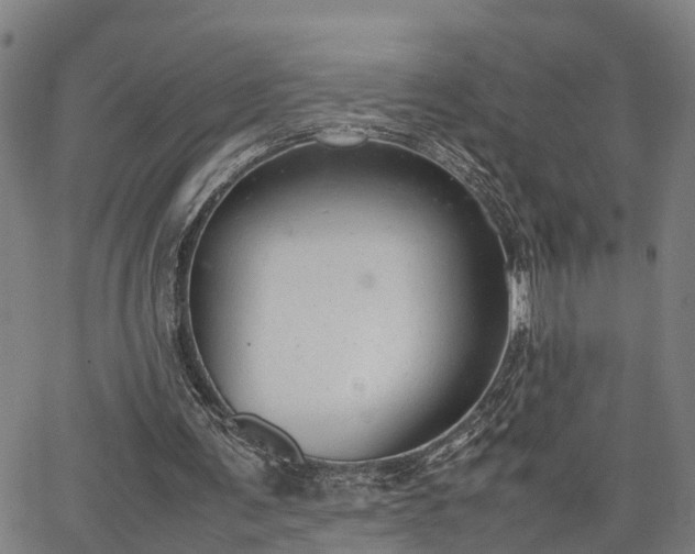 X0000064750291200602131233