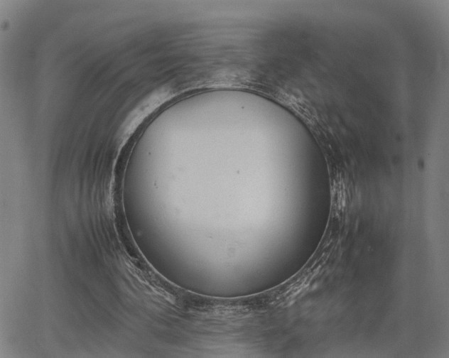 X0000064750292200602131233