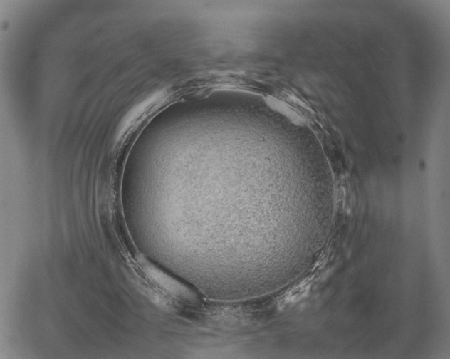 X0000064750293200602131233