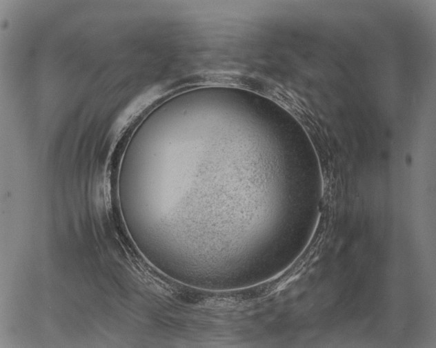 X0000064750294200602131233