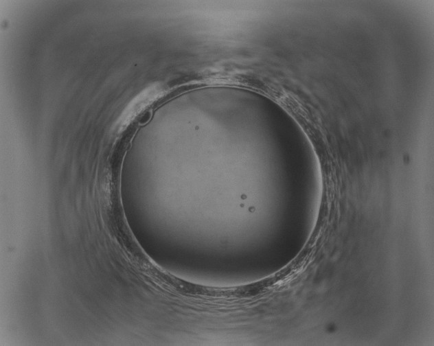 X0000064750295200602131233