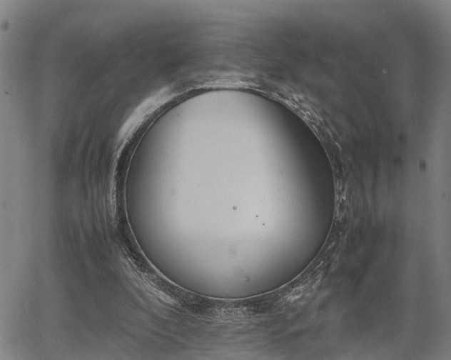 X0000064750296200602131233