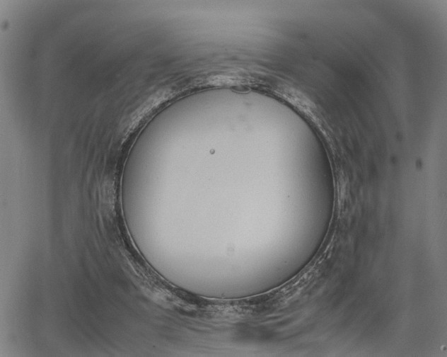 X0000064750297200602131233