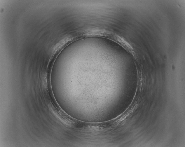 X0000064750298200602131233