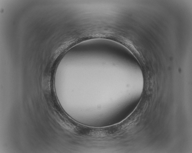 X0000064750299200602131233