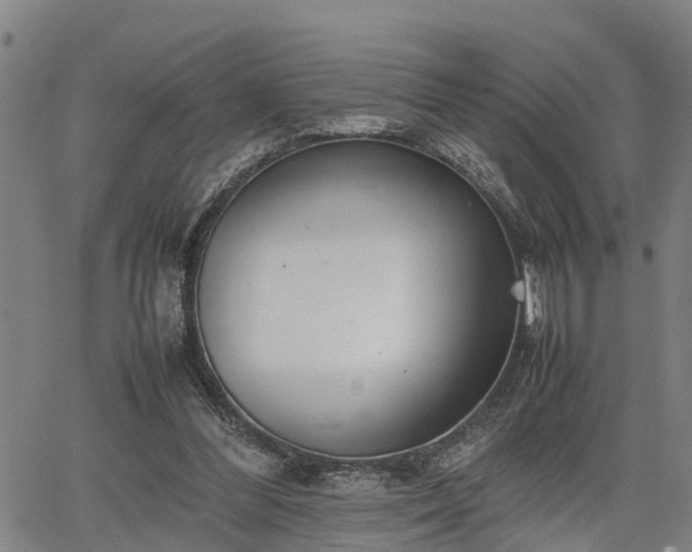 X0000064750300200602131233