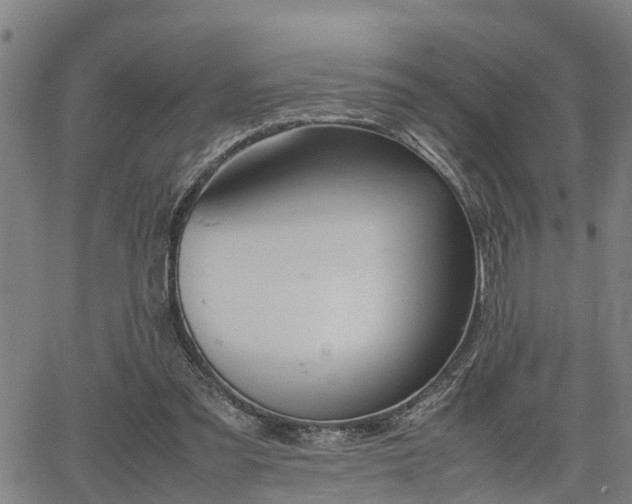 X0000064750301200602131233