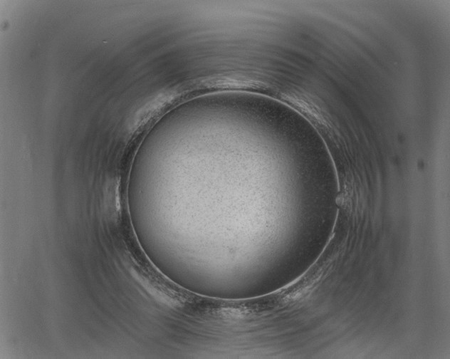 X0000064750302200602131233