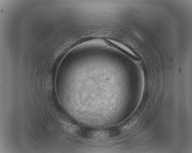 X0000064750303200602131233