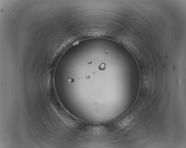 X0000064750304200602131233