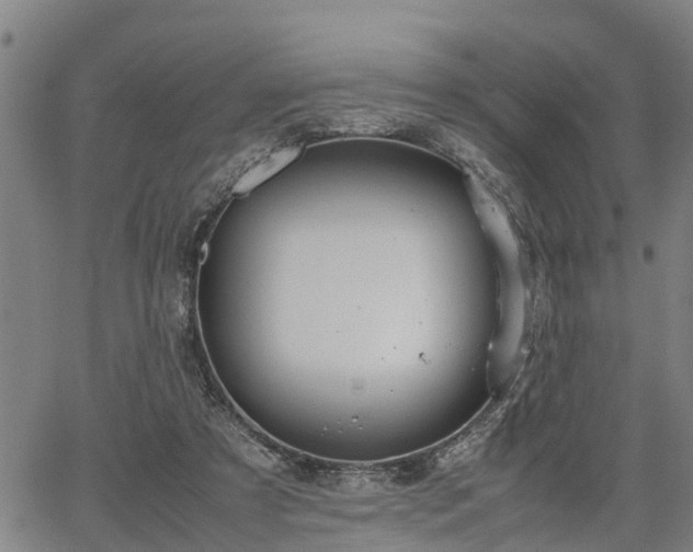 X0000064750305200602131233