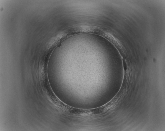 X0000064750306200602131233