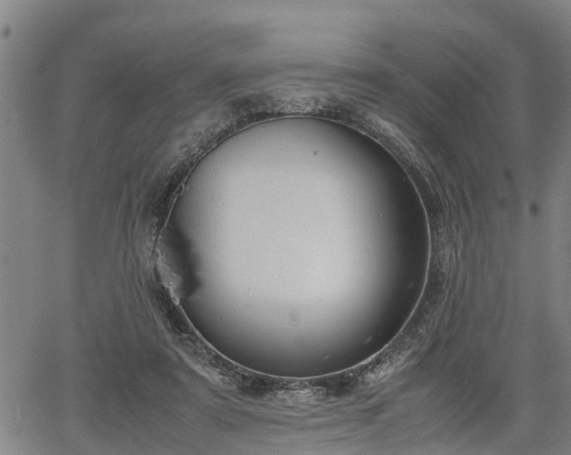 X0000064750307200602131233