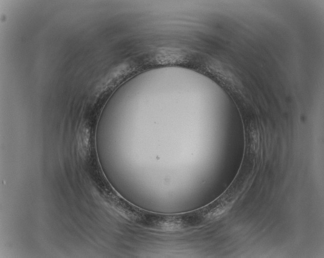 X0000064750308200602131233