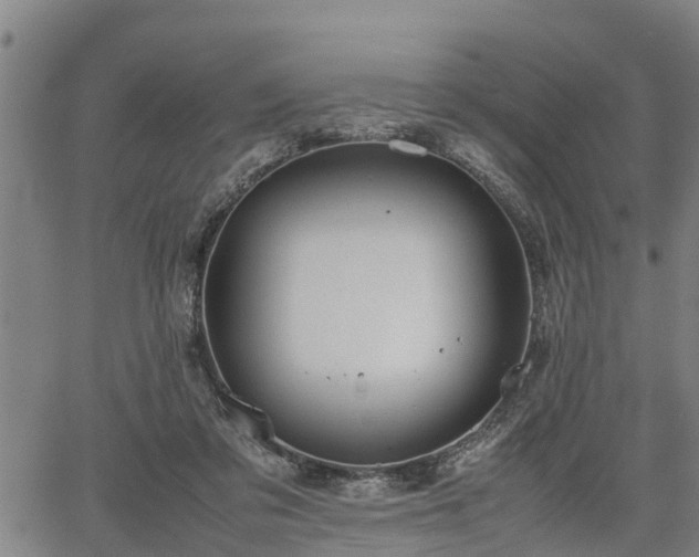 X0000064750309200602131233