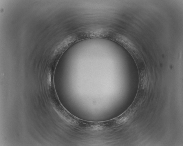 X0000064750310200602131233