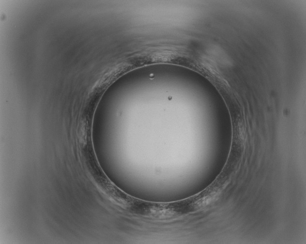 X0000064750311200602131233