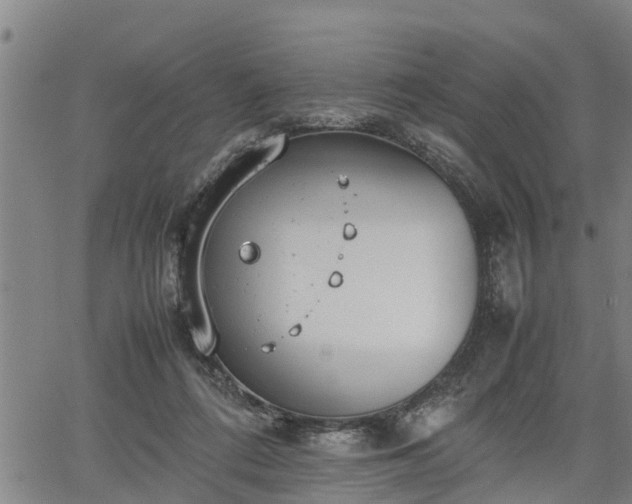 X0000064750312200602131233