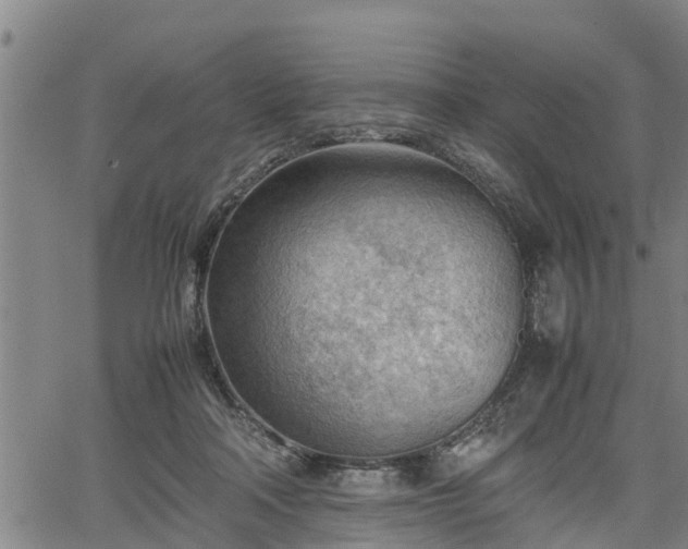 X0000064750314200602131233