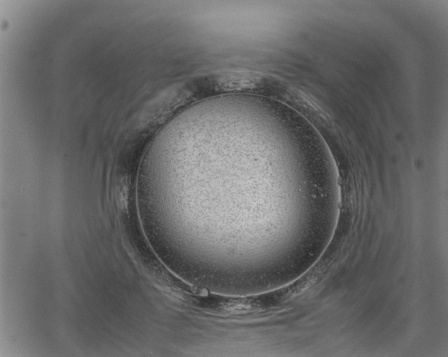 X0000064750315200602131233