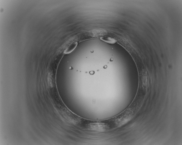 X0000064750316200602131233