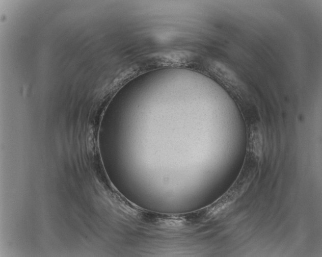 X0000064750318200602131233