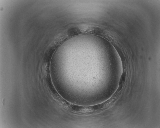 X0000064750319200602131233