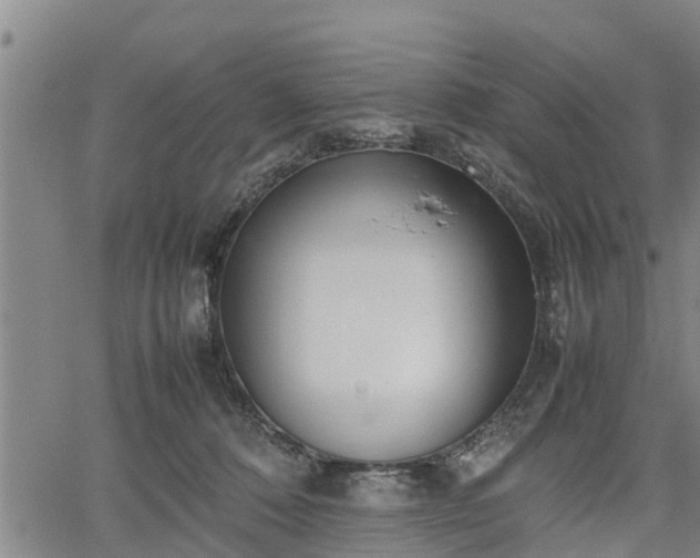 X0000064750320200602131233