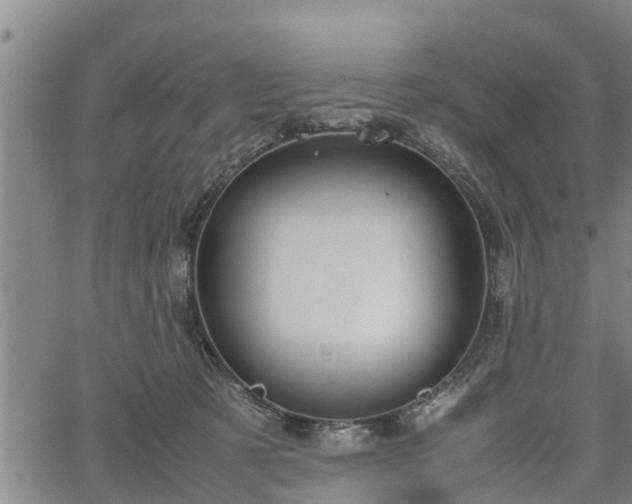 X0000064750321200602131233