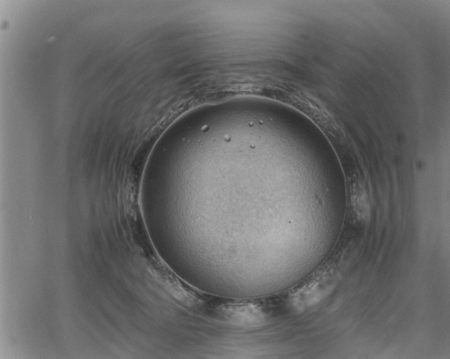 X0000064750322200602131233