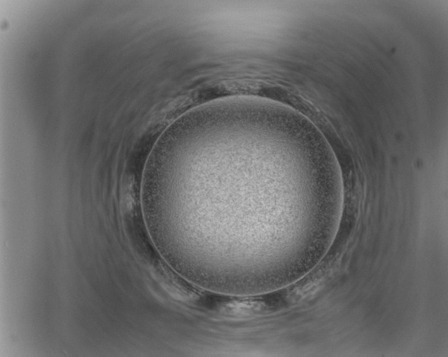 X0000064750323200602131233