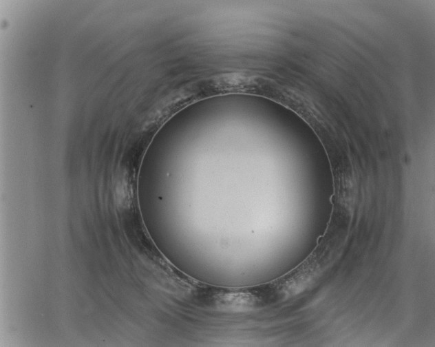 X0000064750324200602131233