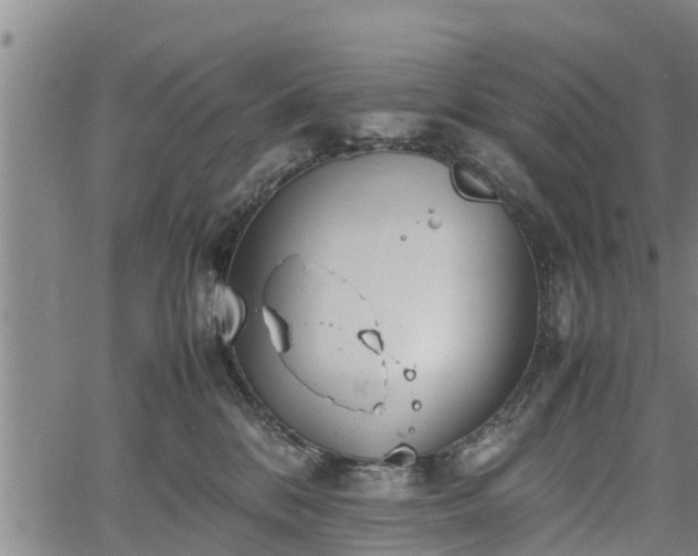 X0000064750328200602131233