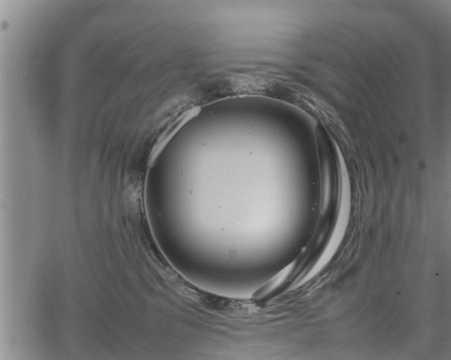 X0000064750329200602131233