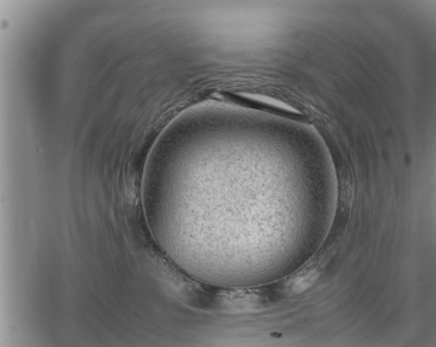 X0000064750331200602131233