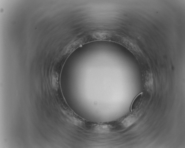 X0000064750332200602131233