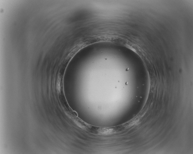 X0000064750334200602131233