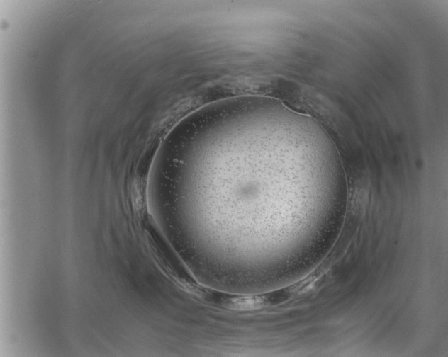 X0000064750335200602131233