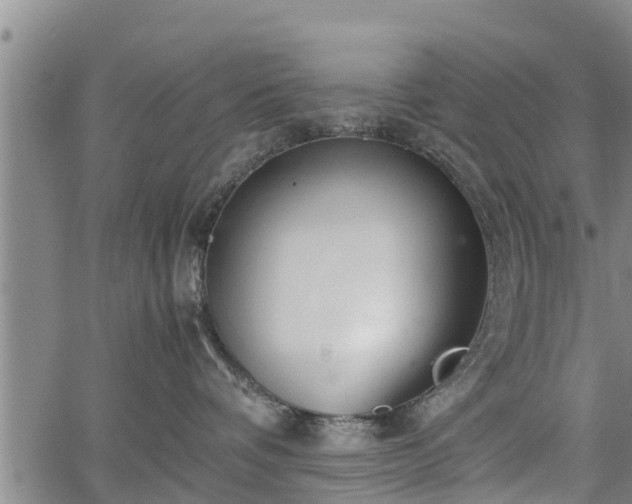 X0000064750336200602131233